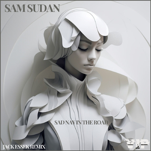 Sad Nay in the Road (Radio Mix)