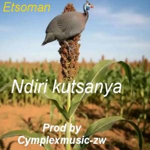 Ndiri kutsanya