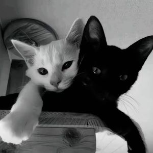 to my family(prod.by.Morrow)