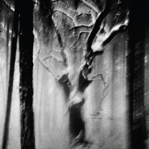 Paysage n°5 (première partie)