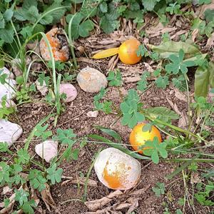 Supermoon (for Mariana) (feat. Yasmine Jhabli)