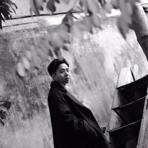 不下雪的圣诞结