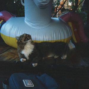 Корея