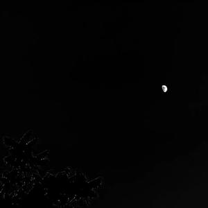 记昨日书（女..女版）