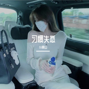 习惯失恋-DJ版