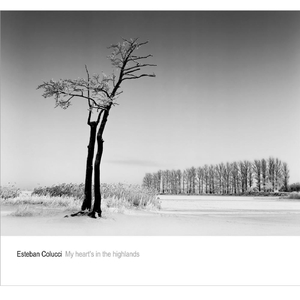 Variations for the Healing of Arinushka