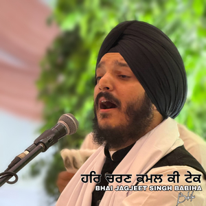 Har Charan Kamal Ki Tek (Live)