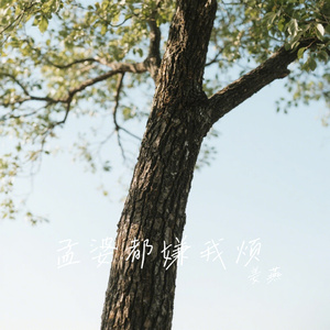 孟婆都嫌我烦