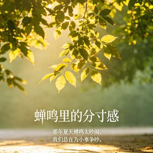 蝉鸣里的分寸感