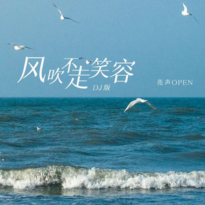 风吹不走笑容 (DjPad版)