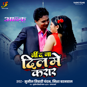 Nind Na Dil Me Karar (From "Pagal Ashiq the Rudra")