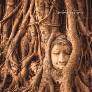 Weight Returns to Earth