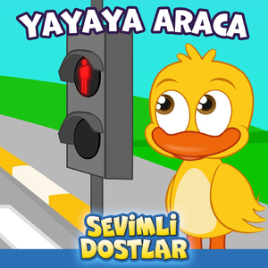 Yayaya Araca