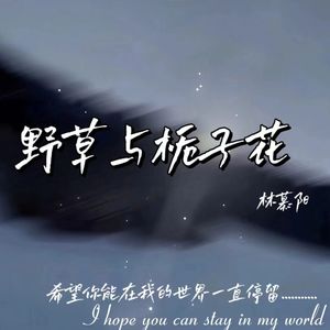 野草与栀子花