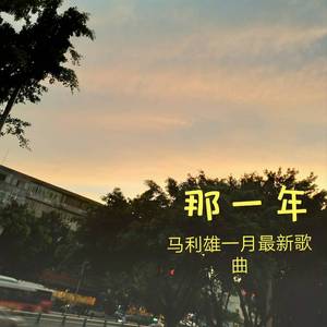 马利雄 - 那一年