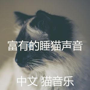 精彩睡猫环境