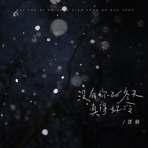 没有你的冬天真的好冷