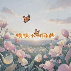 蝴蝶不会降落