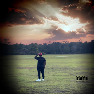 Seek and you shall find