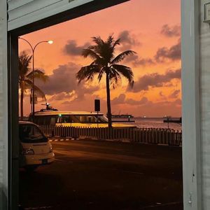 回忆观影券（热播版）