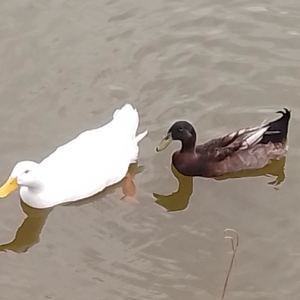 缘分天定