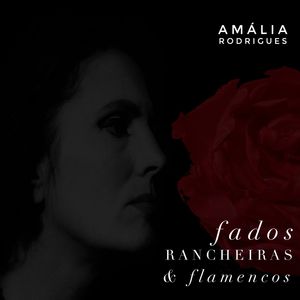 Fallaste Corazón