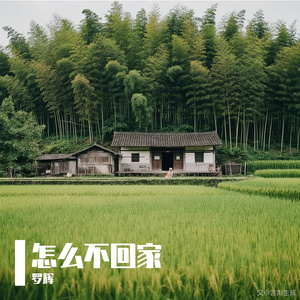 怎么不回家