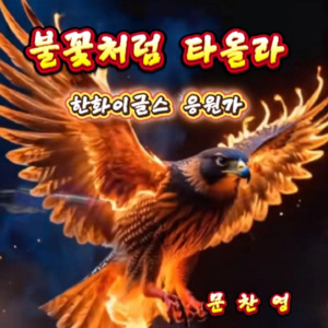 불꽃처럼 타올라(한화이글스 응원가)