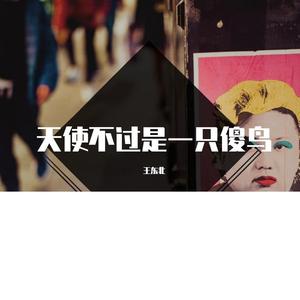 天使不过是一只傻鸟