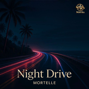 Night Drive