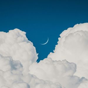 自由行（prod.MORROW)