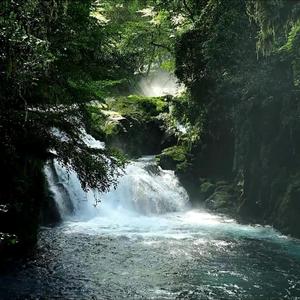 Finding Peace Within