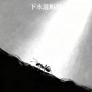 下水道蚂蚁