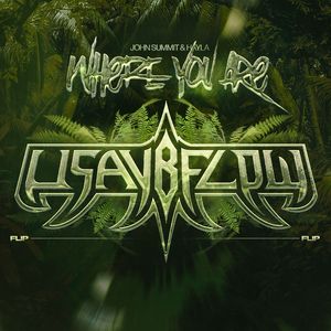 Where You Are (Usaybflow Flip)