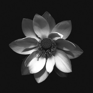 A Ruin (Blue Hawaii Remix)