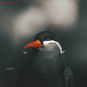 Yaara