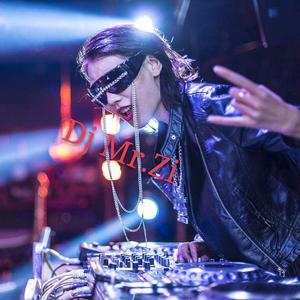 DJ Mr.Zi / 承利 - 爱一个人需要理由吗（DJ Mr.Zi remix）