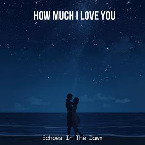 How Much I Love You