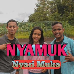 Nyamuk ( Nyari Muka )