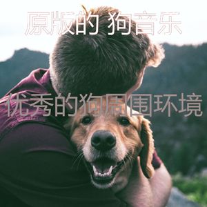抚慰的小狗回忆
