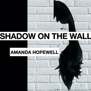 Shadow on the Wall