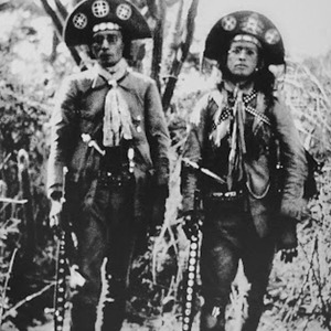 Tipo um búfalo vs socadão