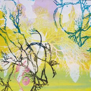 Wish I Could Be Honest