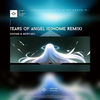 DJhome - Tears Of Angel (DJhome Remix)