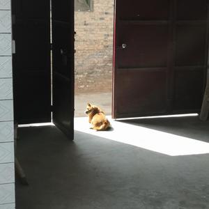 2022.03.29-23.31.44-下午