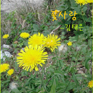 꽃사랑 (MR)