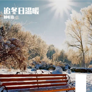 追冬日温暖