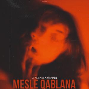 Mesle Qablana(Arian Mehregani&Shervinhit) (feat. Arian Mehregani & shervinhit)