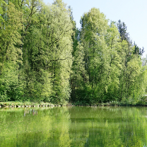몸을 가볍게 해주는 피아노