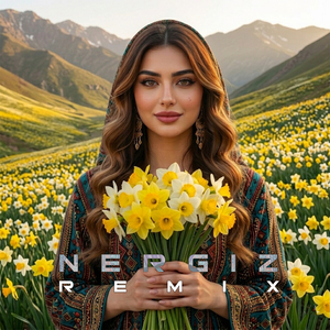 Nergiz (Remix)